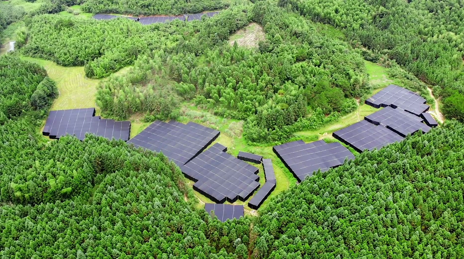 福建首批！仙芝樓靈芝基地通過中藥材GAP延伸檢查